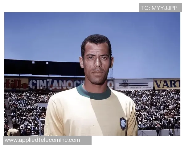 2014年德国足球明星回顾：辉煌时刻与传奇球员的精彩表现