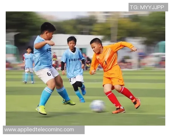 南京足球队逆袭全国锦标赛的辉煌历程与背后故事揭秘 南京足球队逆袭全国锦标赛的辉煌历程与背后故事揭秘