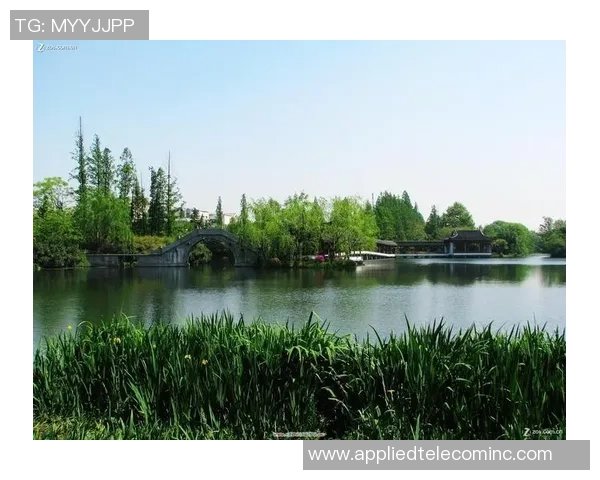 杭州羽毛球队阵地战革新探索与实践全景解析 杭州羽毛球队阵地战革新探索与实践全景解析