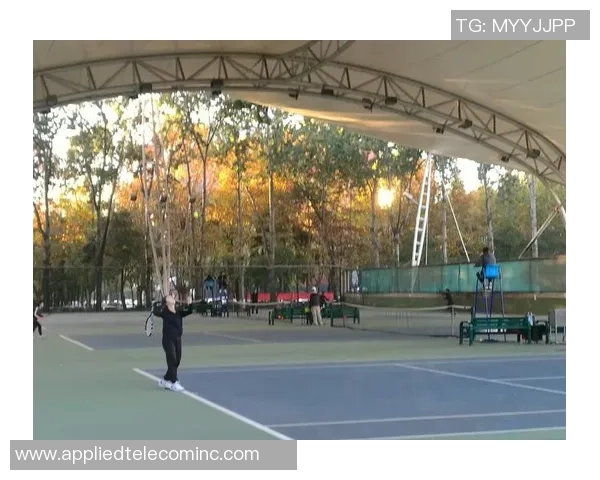 武汉网球队个人能力分析与提升策略探讨 武汉网球队个人能力分析与提升策略探讨