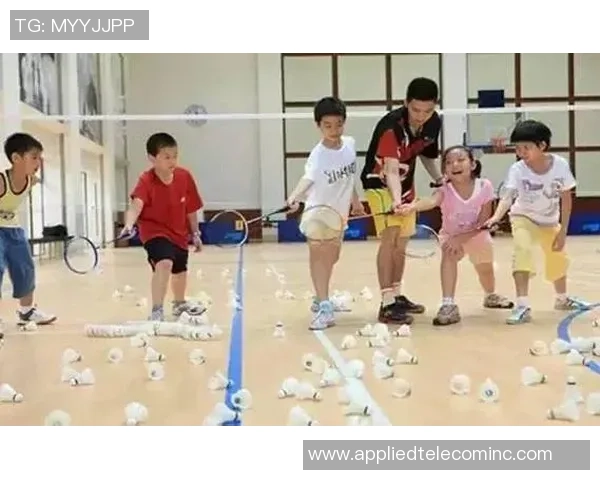 羽毛球深度：解密北京羽毛球队的阵地战