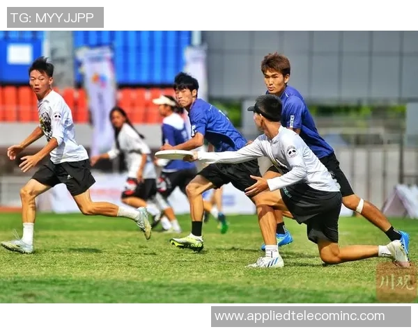 热议飞盘：成都飞盘队的配合变革