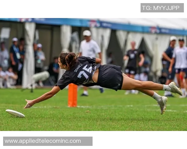 飞盘节奏排行榜：武汉飞盘队位居第6名