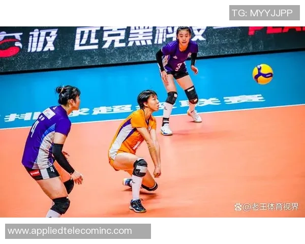 最新排球力量TOP10：广州排球队领跑