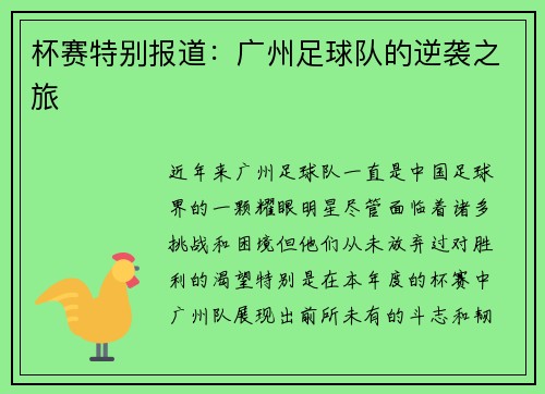 杯赛特别报道：广州足球队的逆袭之旅
