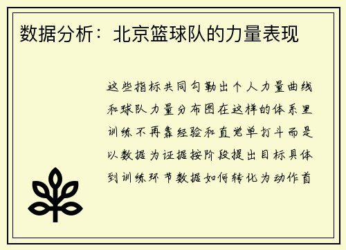 数据分析：北京篮球队的力量表现