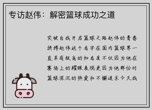 专访赵伟：解密篮球成功之道